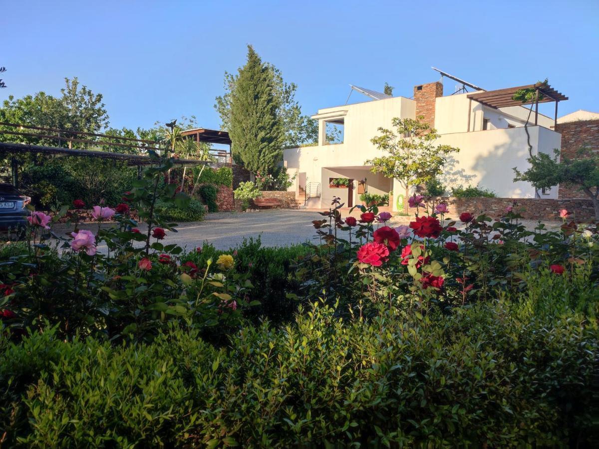 El Domingo En El Valle Fondón Exterior foto