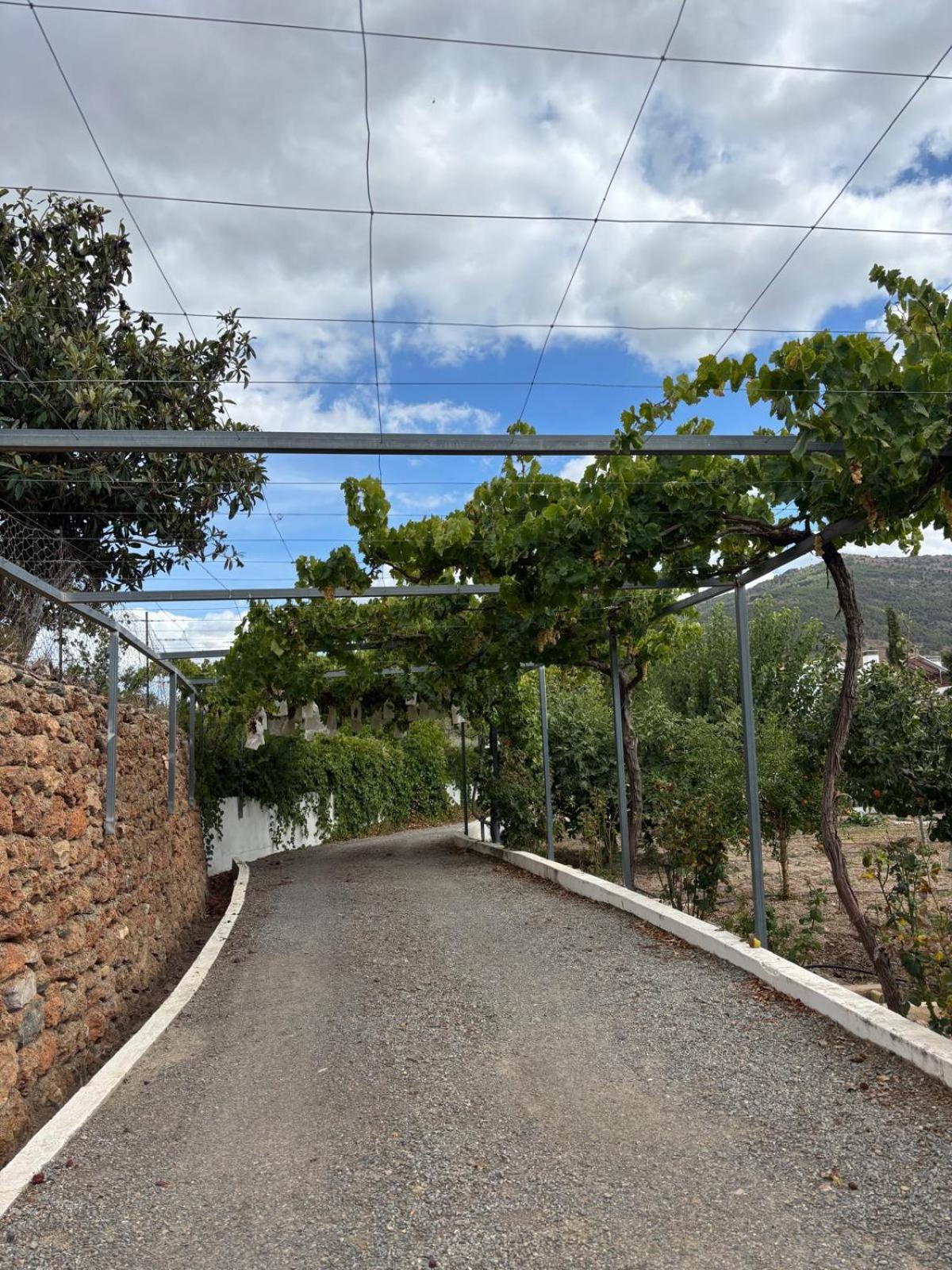 El Domingo En El Valle Fondón Exterior foto